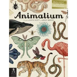Animalium
