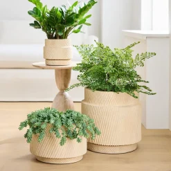 Asher Ceramic Planters