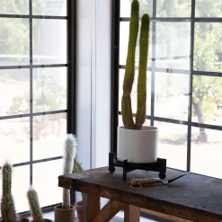 Bal Multipurpose Plant Stand