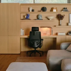 Branch Ergonomic Chair Pro Headrest
