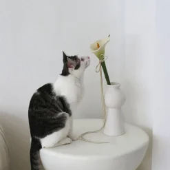 Catenary Flora Cat Teaser Wand Toy