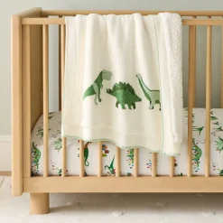 Dino Baby Blanket