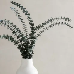 Dried Eucalyptus Bundle - Green