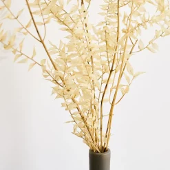 Dried Ivory Ruscus Branch