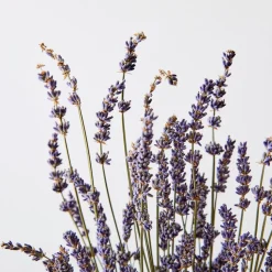 Dried Lavender Stem Bunch