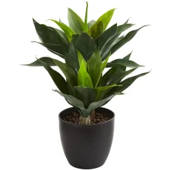 Faux Agave Plant