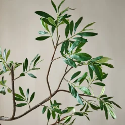 Faux Black Olive Branch