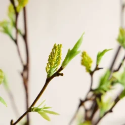 Faux Green Stem