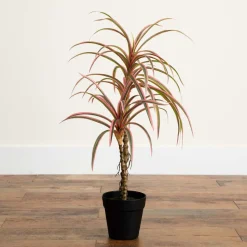 Faux Pink Dracaena Marginata Plant (2')