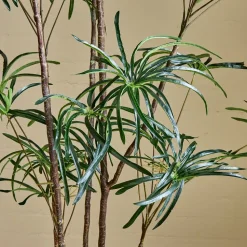 Faux Potted Australian Bottleneck Tree