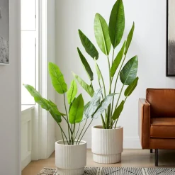 Faux Potted Bird of Paradise Plant