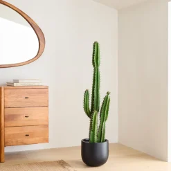 Faux Potted Cactus Plant