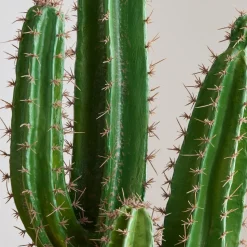 Faux Potted Cactus Plant