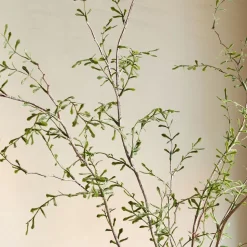 Faux Potted Sophora Prostrata Plant