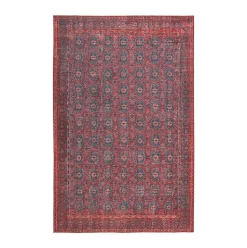 Kalinar Washable Rug