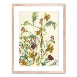 Meadow Rue 1 Framed Wall Art by Shaina Page