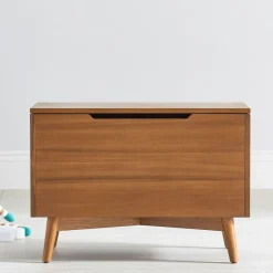 Mid-Century Toy Chest