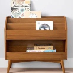 Mid-Century Toy Dump w/ Bookrack