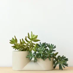 Misewell Ceramic Wall & Tabletop Planter - White