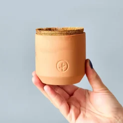 Modern Sprout Tiny Terracotta Grow Kit - Fruit
