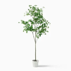 Open Box: Faux Maple Potted Tree (6') - Green