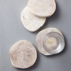 Petrified Wood Coaster Sets