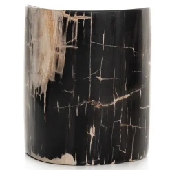 Petrified Wood Side Table (12")