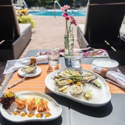 Playa Outdoor Melamine Salad Plates (Set of 6)