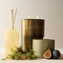 Terra Homescent Collection - Cedarwood Grove