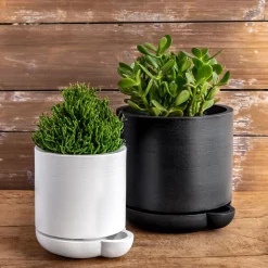 The Simple Self-Watering Pot