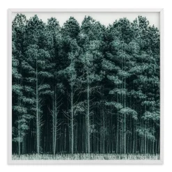 Through the Trees Framed Wall Art by Minted for West Elm