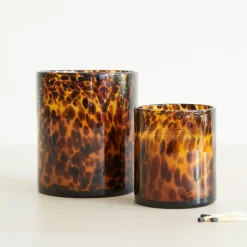 Tortoise Glass Candles - Tonka & Sandalwood