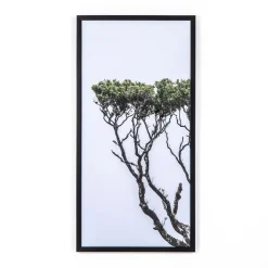 Tree of Life Framed Wall Art