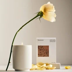 West Elm Homescent Single Wick Candle - Rosewater