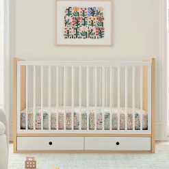 Ziggy Convertible Storage Crib
