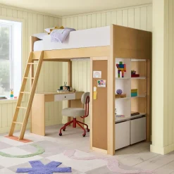 Ziggy Twin Loft Bed w/ Desk & Storage